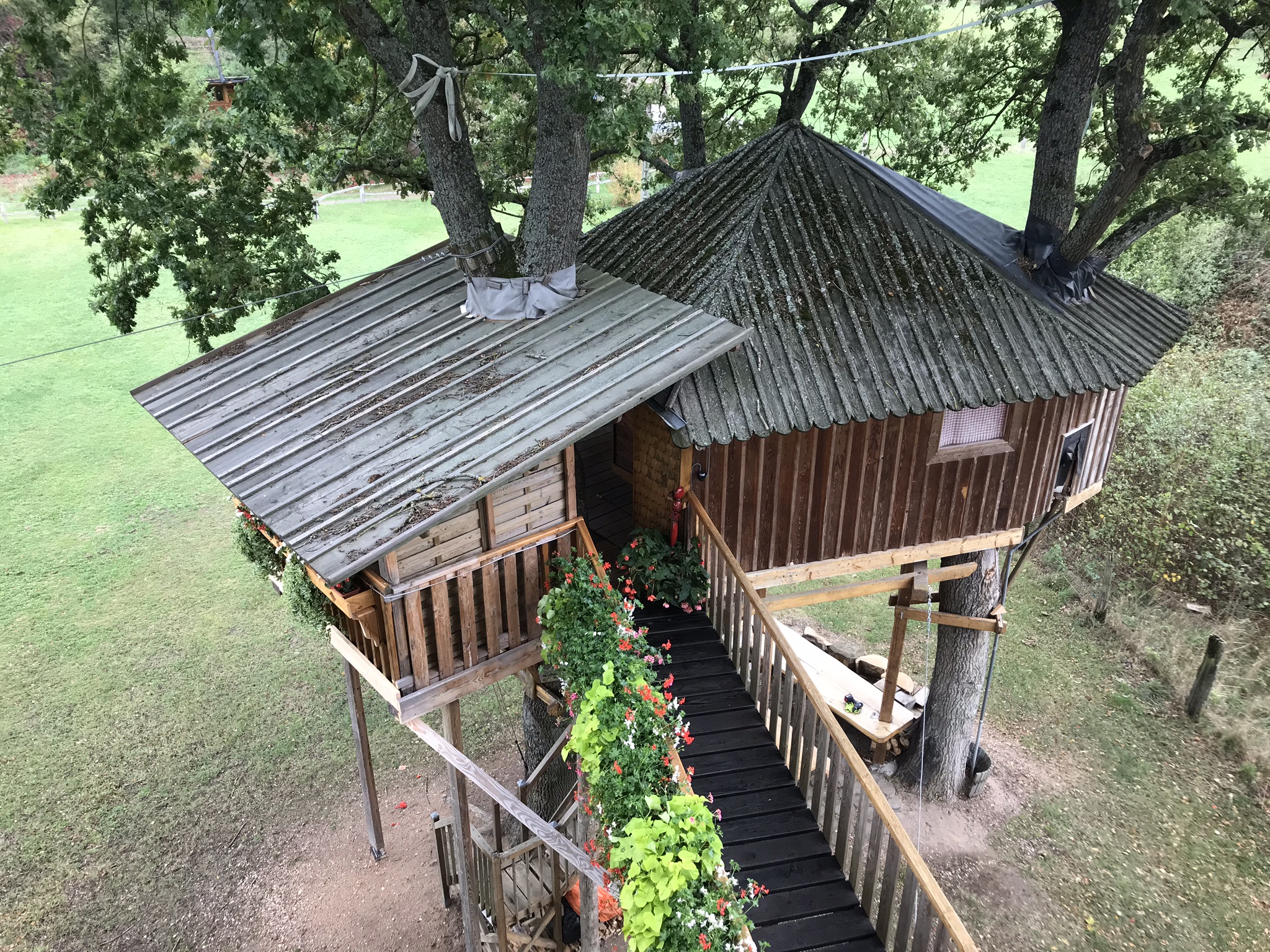 Cabanes dans les arbres